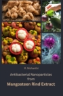 Image for Antibacterial nanoparticles from mangosteen rind extract