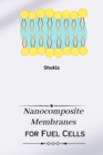 Image for Nanocomposite Membranes for Fuel Cells