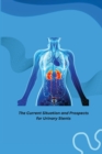 Image for The Current Situation and Prospects for Urinary Stents