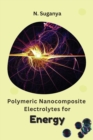 Image for Polymeric Nanocomposite Electrolytes for Energy