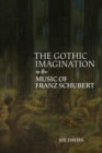 Image for The gothic imagination in the music of Franz Schubert