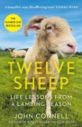 Image for Twelve Sheep