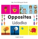 Image for My First Bilingual Book-Opposites (English-Somali)