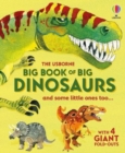 Image for Big Book of Big Dinosaurs