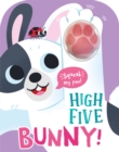 Image for High Five Bunny! A count-and-squeak book.