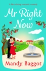 Image for Mr Right Now