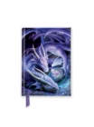Image for Anne Stokes: Welcome Hatchling 2025 Luxury Pocket Diary Planner - Week to View