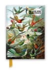Image for Ernst Haeckel: Hummingbirds (Foiled Blank Journal)