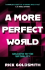 Image for A More Perfect World