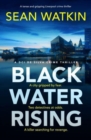 Image for Black Water Rising