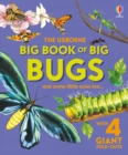 Image for Big Book of Big Bugs