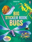 Image for Big Sticker Book Bugs
