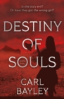 Image for Destiny of Souls