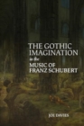 Image for The Gothic Imagination in the Music of Franz Schubert
