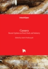 Image for Cassava  : recent updates on food, feed, and industry
