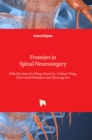 Image for Frontiers in Spinal Neurosurgery
