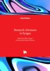 Image for Research Advances in Syngas