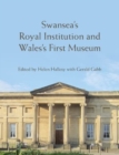 Image for Swansea&#39;s Royal Institution and Wales&#39; first museum