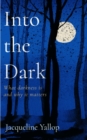 Image for Into the dark  : what darkness is and why it matters
