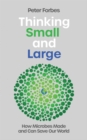 Image for Thinking Small and Large
