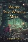 Image for Where two worlds meet