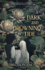 Image for A Dark and Drowning Tide