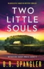 Image for Two Little Souls : An absolutely addictive mystery thriller