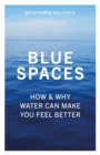 Image for Blue spaces  : how and why water can make you feel better