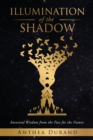 Image for Illumination of the Shadow
