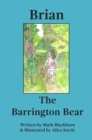 Image for Brian The Barrington Bear