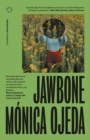Image for Jawbone