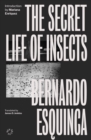 Image for The secret life of insects