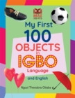 Image for My First 100 Objects in Igbo and English