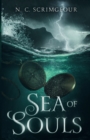 Image for Sea of Souls