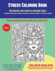 Image for Stress Coloring Book (40 Complex and Intricate Coloring Pages) : An intricate and complex coloring book that requires fine-tipped pens and pencils only: Coloring pages include buildings, architecture,