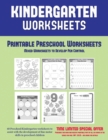 Image for Printable Preschool Worksheets : Mixed Worksheets to Develop Pen Control (Kindergarten Worksheets): 60 Preschool/Kindergarten worksheets to assist with the development of fine motor skills in preschoo