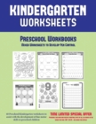 Image for Preschool Workbooks
