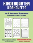 Image for Pre K Printable Workbooks : Mixed Worksheets to Develop Pen Control (Kindergarten Worksheets): 60 Preschool/Kindergarten worksheets to assist with the development of fine motor skills in preschool chi
