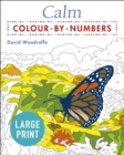 Image for Large Print Calm Colour-by-Numbers