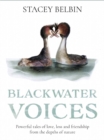 Image for Blackwater Voices