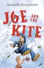 Image for Joe and the Kite