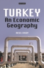 Image for Turkey: an economic geography