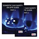 Image for Domestic Gas Safety On Site Guide (2 vols)