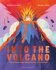 Image for Into the Volcano