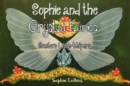 Image for Sophie and the Crystal Fairies: Santa&#39;s Little Helpers