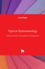 Image for Topics in Hydrometerology