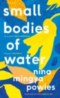 Image for Small Bodies of Water