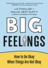 Image for Big feelings  : how to be okay when things are not okay