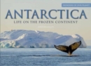 Image for Antarctica  : life on the frozen continent
