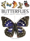 Image for Butterflies  : beautiful flying insects